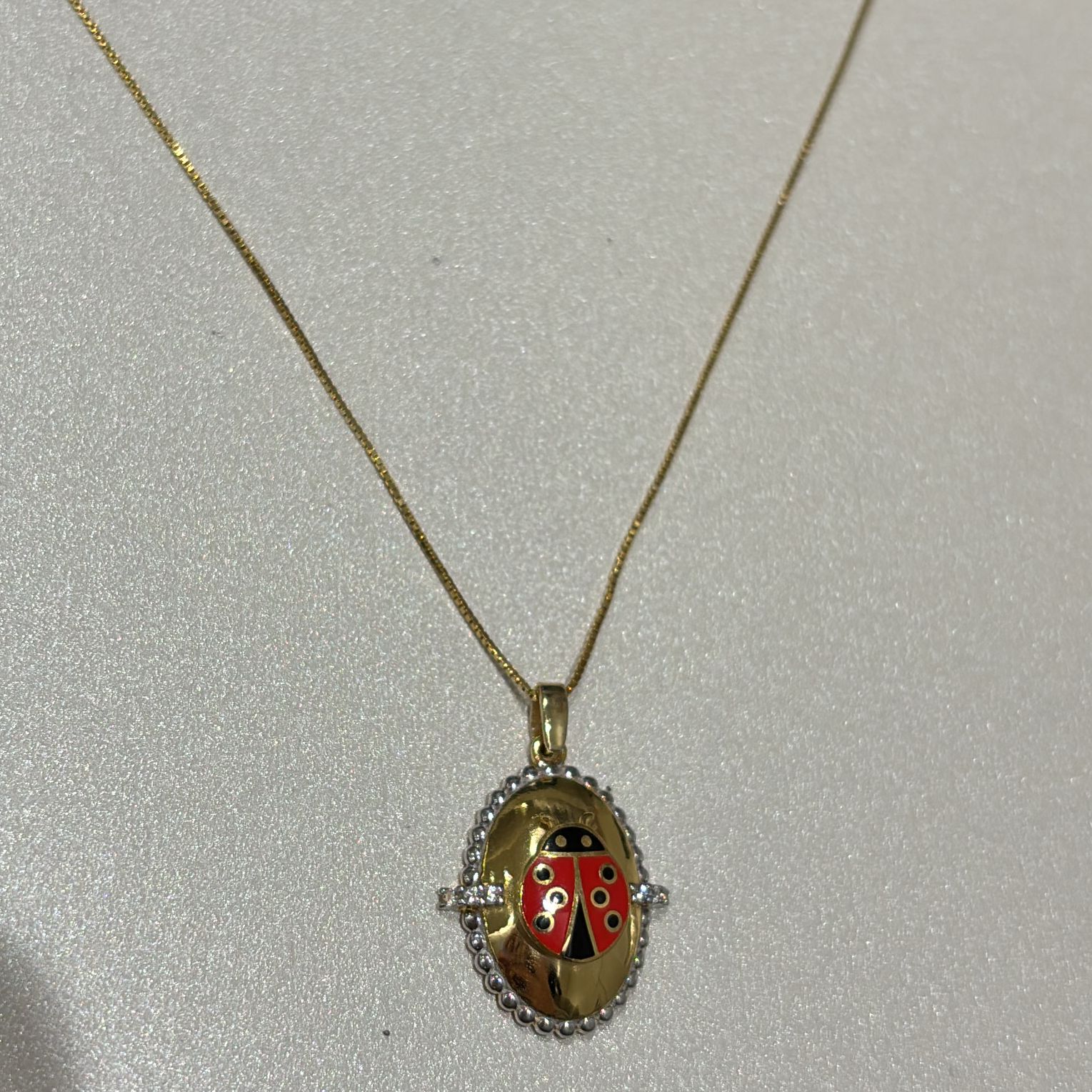 Ladybug Medallion Necklace