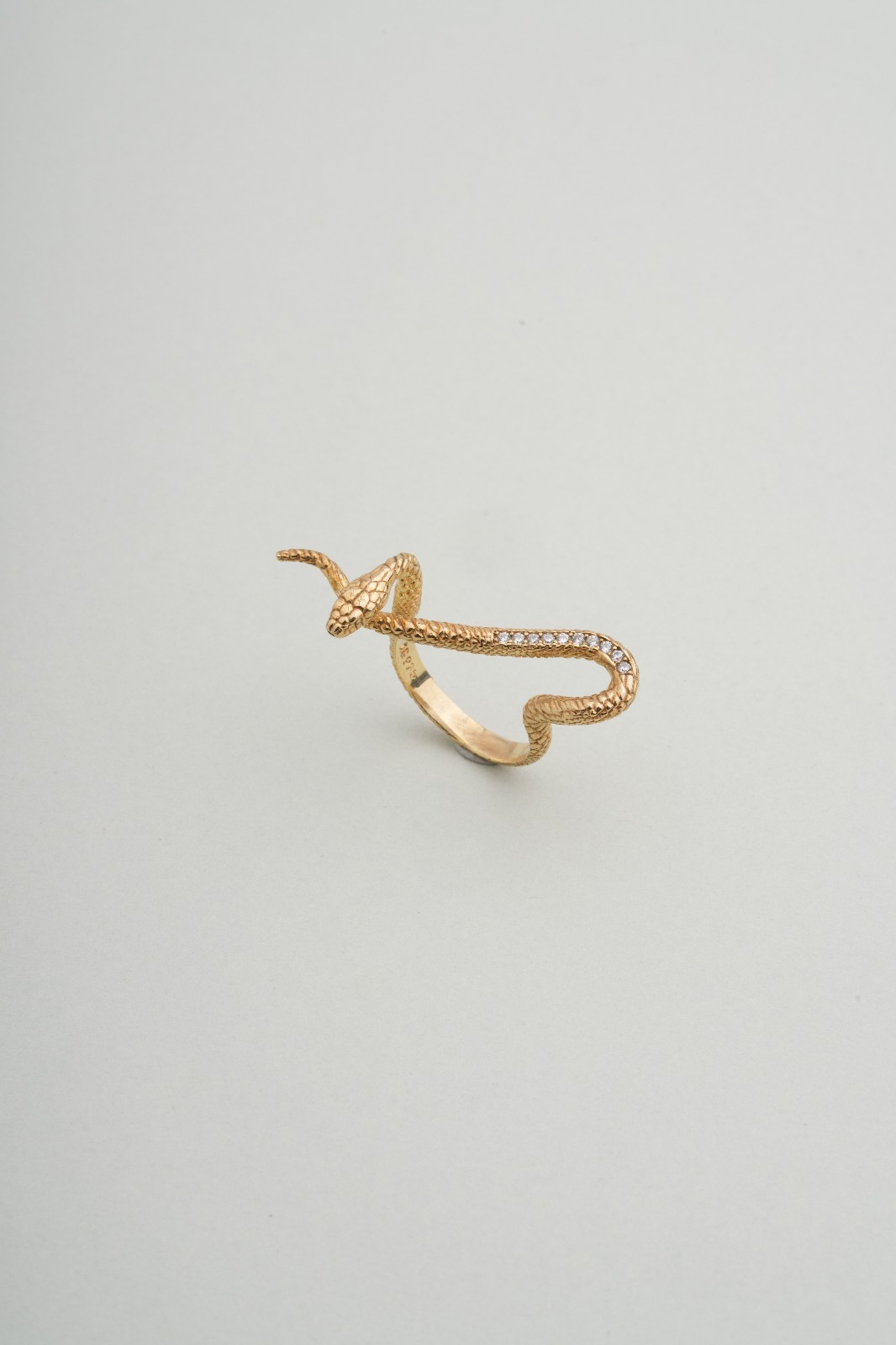 Matte Ring