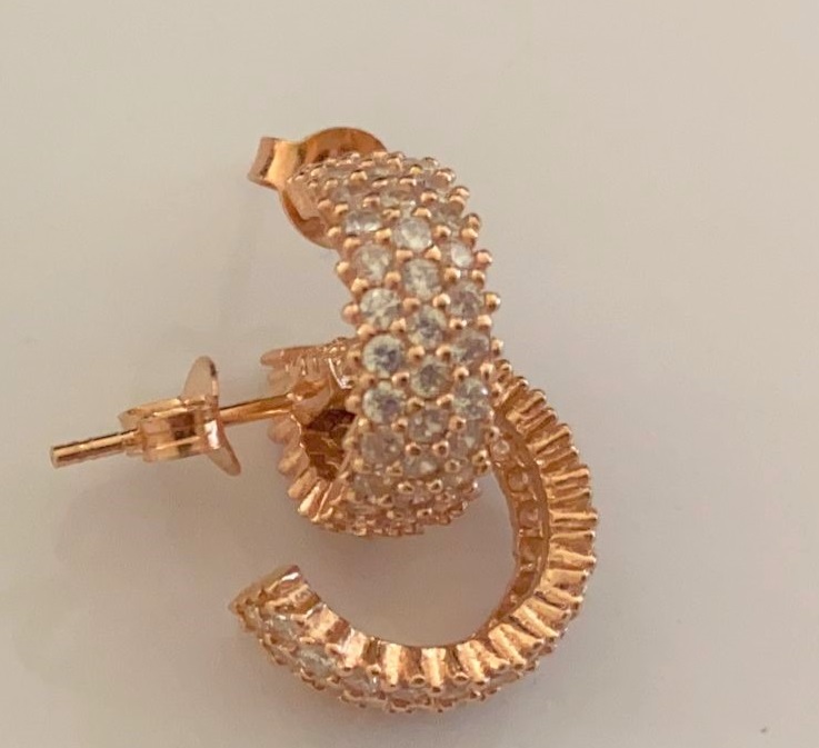 Hoop Earring